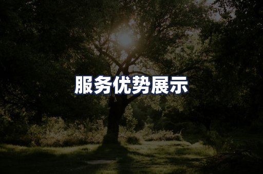 服务优势展示